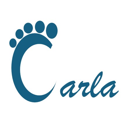 CLINICA  DE  PODOLOGIA  DOIS  PES